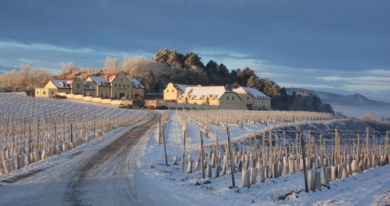 Vinařství U Kapličky - restaurace
