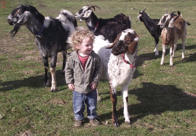 Jáňův dvůr - výletní hospůdka