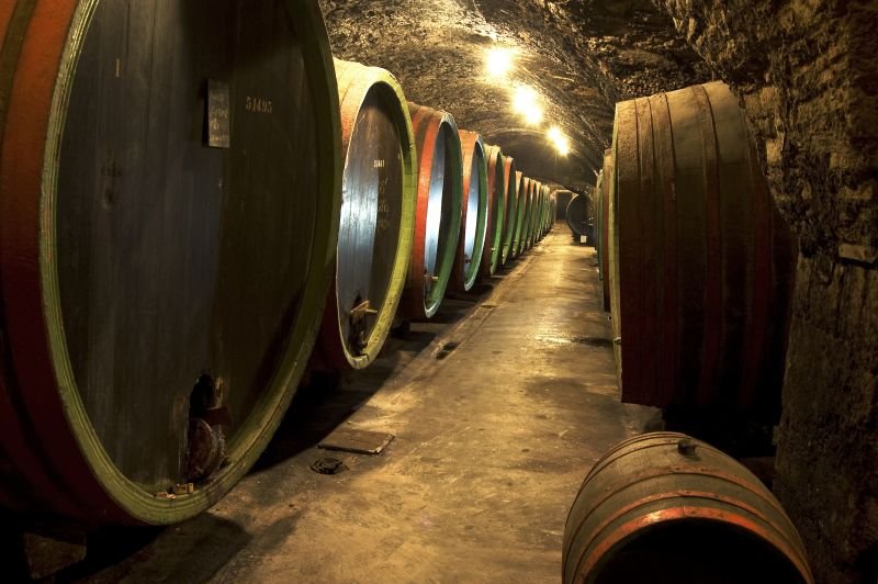 Zámecké sklepy Strážnice