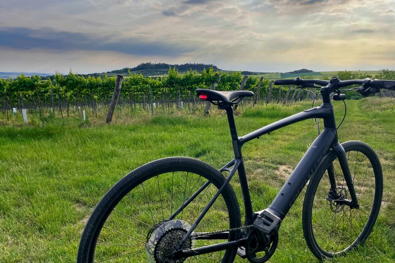 Boutique Hotel U Hrádku