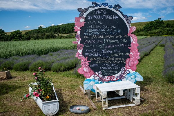 Levandulové údolí - restaurace