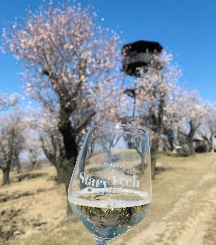 Vinařství Starý vrch