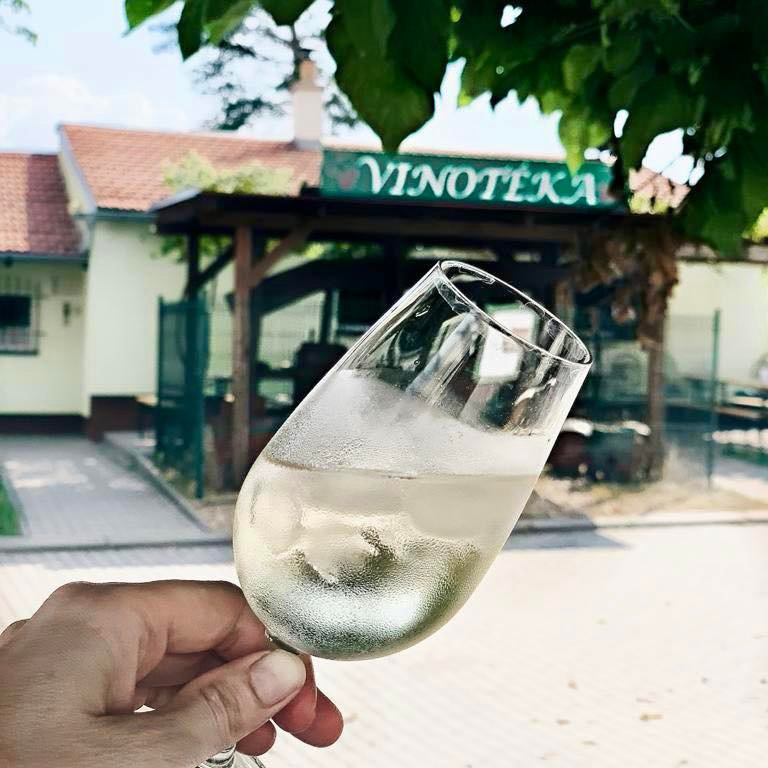 Vinotéka za obecňákem