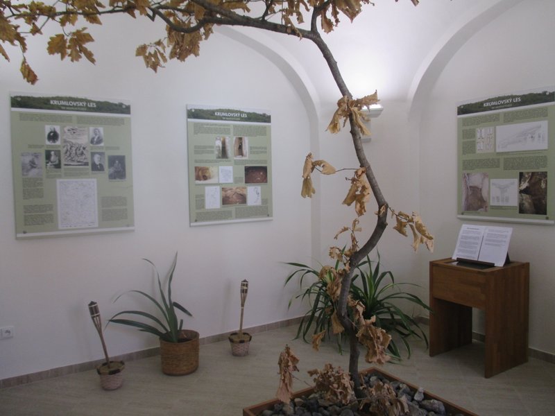 Muzeum a informační centrum Vedrovice