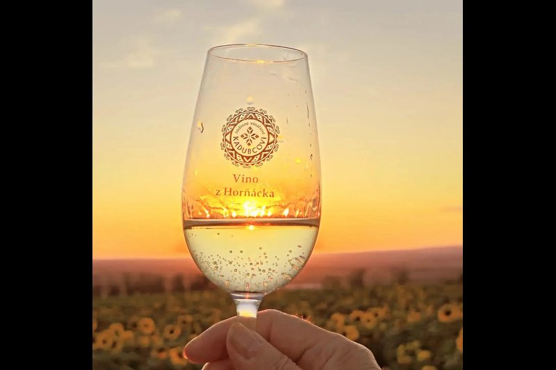 Penzion v rodinném vinařství Kadubcovi