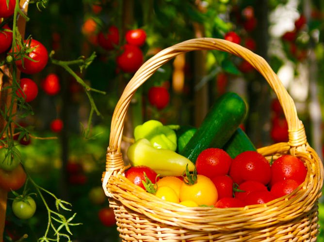 Hotel a Pension Seeberg