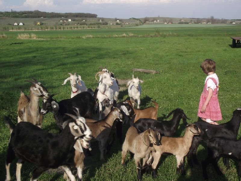 Jáňův dvůr - penzion