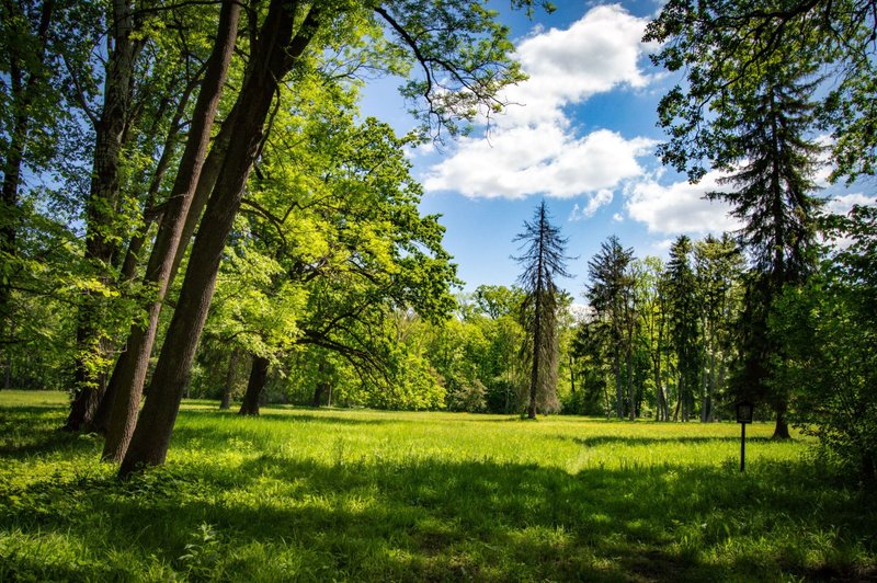 Zámecký hotel Liblice